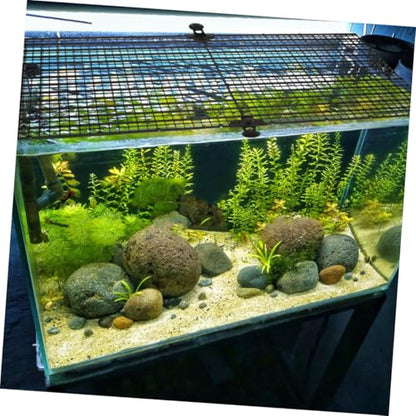 Toyvian 1set Fish Tank Divider for Betta Fish Isolation Board Cups and Reusable Aquarium Escape Prevention Supplies Design for Breeding and Separation