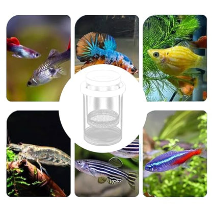 Fish Breeder Box - Clear Acrylic, Strong Suction Cups, V-Grate, Safe Fry Hatching Tank Guppy, Protects Fish, Betta Shrimp Isolation Space, Aquatic Separator Nursery | for Aquarium - color: White