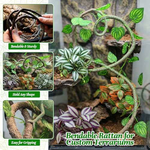 5 Pcs Reptile Plants & Habitat Decor Kit - 3 Artificial Hanging Plants & Large 3.3ft Jungle Vine Branch, Terrarium Tank Climbing Accessories for Crested Gecko, Bearded Dragon, Lizard, Snake, Chameleon