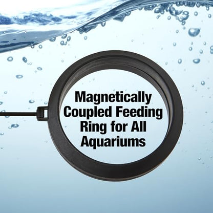 Two Little Fishies MagFeeder Magnetic Feeding Ring