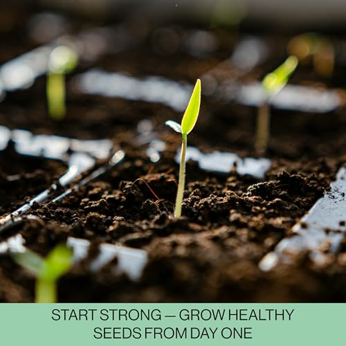 Seed Starter Trays, 144 Cells (24 Trays - 6 Cells Per Tray) + Plant Stakes - size: 24 Trays (144 Cells)