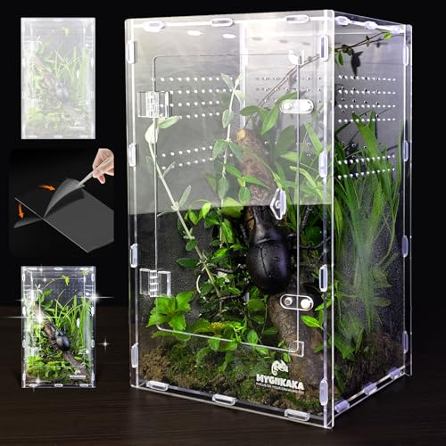 Acrylic Jumping Spider Enclosure - Insect Terrarium for Spiders, Mantises, Tarantulas & Frogs - size: Large