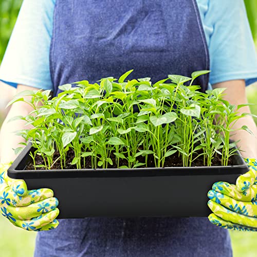 14 Pack 15 x 12 Inch Seed Starter Trays, Plastic Garden Mesh Bottom Plant Germination Trays, Black Growing Tray for Seedling, Microgreen, Soil Blocks, Wheatgrass, Hydroponic and Fodder Systems