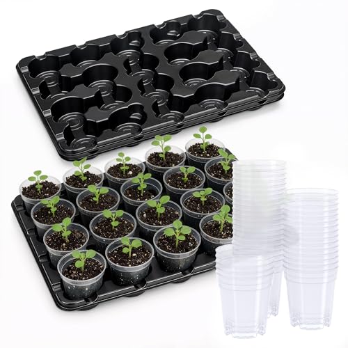 3 Inch Seed Starting Trays with Clear Nursery Pots, 2-Pack 20-Cell Seedling Starter Trays & 3" Nursery Pots 40 Pcs with Drainage, Plant Starter Germination Trays for Indoor Outdoor Growing - size: 3 Inch, style: 2 Pack Seed Starter Tray+Nursery Pots