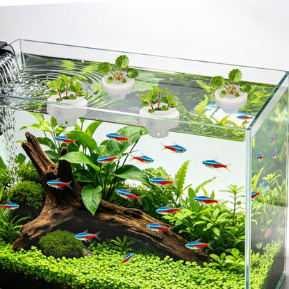 Floating Aquarium Plant Holders with Suction Cups (4 Pack), Translucent Baskets for Fish Tanks, Aquatic Anchors for Live Water Flora Cultivation, Betta & Shrimp Tank Aquascape Ornaments