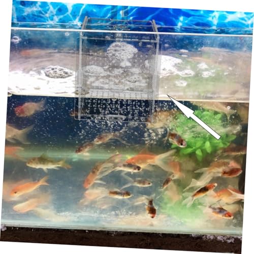 DOITOOL 1set Acrylic Aquarium Isolation Box Cups and Hook Breeding Container for Betta Fish and Shrimp Safe Design for Easy Observation and Feeding