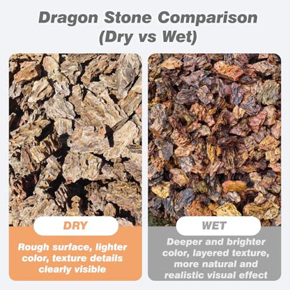 Dragon Stone Aquarium Rocks 5lb Seiryu Stone for Aquariums Landscaping Model Fish Tanks Terrariums Vivariums Paludarium Amphibian Enclosures(2-4 inches) - size: 5LB(2-4 inches)