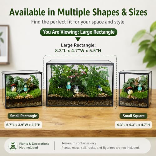Glass Plant Terrarium with Lid, Rectangular Black Metal Frame Box for Indoor Plants, Clear Glass Container for Moss, Succulent, Fairy Garden, Tabletop Decor DIY Gift, 8.3”L x 4.7”W x 5.5”H