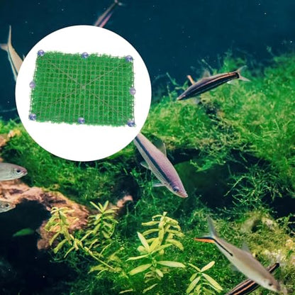 30 Pcs Suction Cups with 50 Pcs Adjustable Zip Ties 25mm & 35mm Aquarium Suction Cups Rubber Sucker Pad for Home Garden Fish Tank Tubing Binding Moss Shrimp Nest Decorations