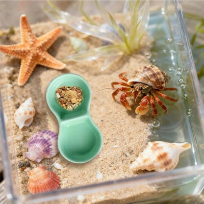 2 Pack Ceramic Hermit Crab Food Dish Hermit Crab Water Bowl Reptile Water Bowl Aquarium Accessories for Snail Frog Bearded Dragon Lizard Gecko Tortoise