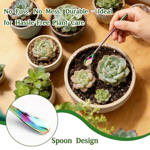 OLIISS Stainless Steel Reptile Feeding Tongs and Spoon Set - 10.6" Straight & Curved Tweezers for Aquariums & Crafts - Feeder Tools for Bearded Dragons & Lizards - Terrarium Tank Supplies