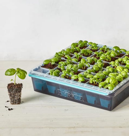 Burpee SuperSeed Seed Starting Tray | 36 Cell Reusable Seed Starter Tray | for Starting Vegetable, Flower & Herb Seeds | Indoor Grow Kit for Plant Seedlings | for Germination Success - size: 36 Cells