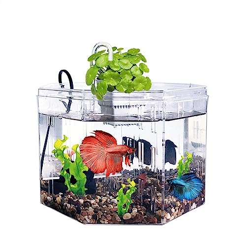 MACIUM Fish Bowl Vase Small Fish Tank Isolation Box Breeding Special Acrylic Transparent Fish Tank with Pump Filtration Ornamental Fish Tank Desktop Ornaments Small Fish Tank Starter Kit
