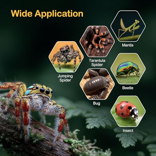 Jumping Spider Enclosure Kit,Escape Proof Reptile Tank,Praying Mantis Terrariums,Transparent Acrylic Complete Bug Habitat,Arboreal Tarantula Cribs Cage,Insect Starter Container,Critter Keeper