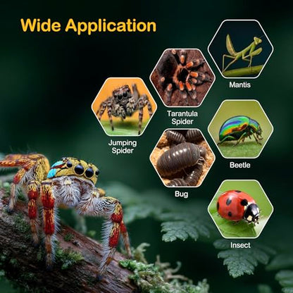 Jumping Spider Enclosure Kit,Escape Proof Reptile Tank,Praying Mantis Terrariums,Transparent Acrylic Complete Bug Habitat,Arboreal Tarantula Cribs Cage,Insect Starter Container,Critter Keeper