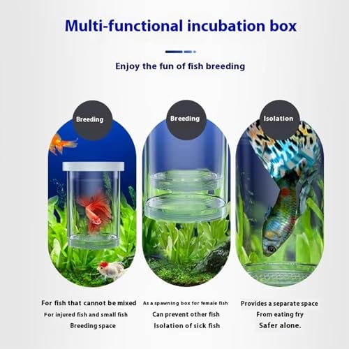 Floating Fish Breeding Box Net Design Safe Fish Habitat Isolation Tanks for Fry Shrimp Easy Setups Compacts - color: White, size: L