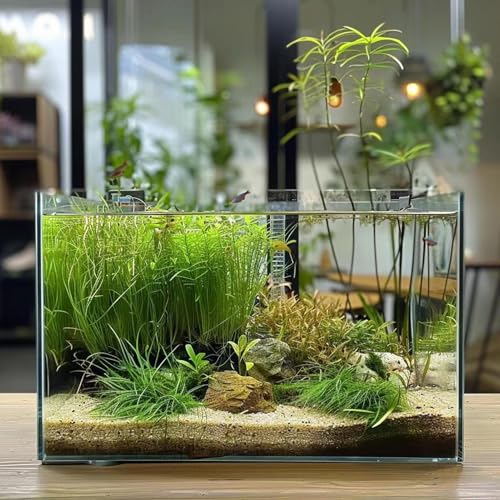 3 Gallon Glass Fish Tank, Easy to Maintain Small Aquarium for Betta/Goldfish/Snails/Shrimp and Aquatic Planting. - size: 3 Gallon