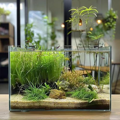 3 Gallon Glass Fish Tank, Easy to Maintain Small Aquarium for Betta/Goldfish/Snails/Shrimp and Aquatic Planting. - size: 3 Gallon