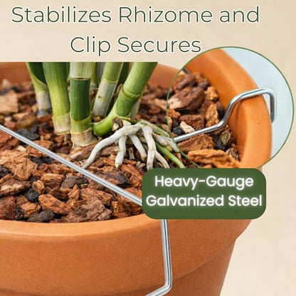Galvanized Rhizome Clip for Clay Pot 6 inch 25 Pack - size: 6 Inch