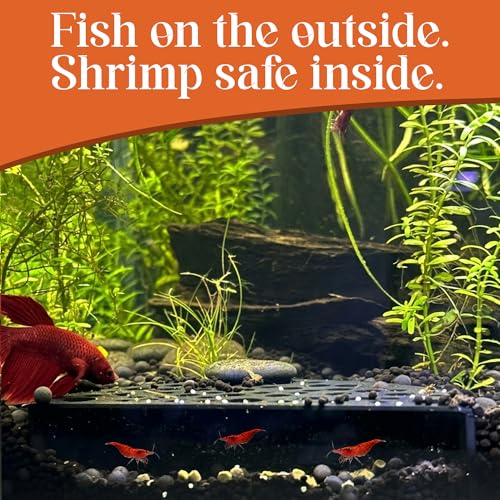 Shrimp Breeding Protector | Shrimp Breeding Cave Aquarium Tunnel (White) - color: White