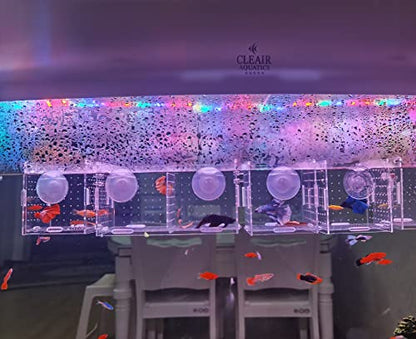 Acrylic Fish breeding Box, Acrylic Fish Isolation Box, Fish Separator for Aquarium, Hatchery Incubator with Suction Cups for Small Baby Fishes Shrimp Clownfish Guppy (3.9 * 3.9 * 3.9inch) - size: 3.9 * 3.9 * 3.9inch