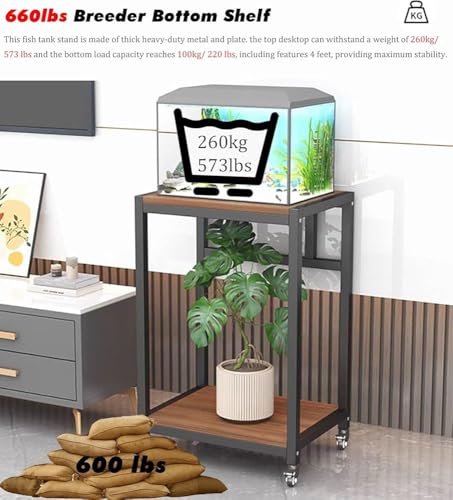 Sturdy rium Stand Cabinet for Fish Tank & Reptile Terum le Tabletop s Holder Ele White h Perfect for Home Decor & Interior Spaces,B-50x40x75cm