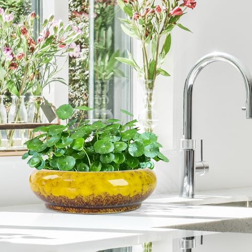 ARTKETTY Lotus Bowl Planter - 7.3 Inch Large Lotus Flower Bowl for Water Plants, Ceramic Hydroponic Planter Water Lily Bowl for Planting Aquatic and Indoor Succulent Plants and Bonsai - color: Yellow