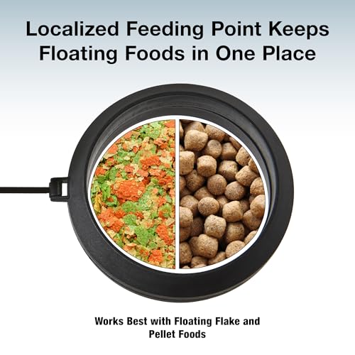 Two Little Fishies MagFeeder Magnetic Feeding Ring