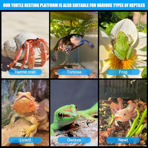 Turtle Basking Platform with Suction Cups,Baby Tortoise Climbing Ramp Rock,Turtle Tank Accessories,Reptiles Resting Terrace for Bearded Dragon Aquatic Frog Hermit Crab gecoks Lizard