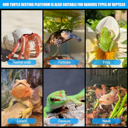 Turtle Basking Platform with Suction Cups,Baby Tortoise Climbing Ramp Rock,Turtle Tank Accessories,Reptiles Resting Terrace for Bearded Dragon Aquatic Frog Hermit Crab gecoks Lizard