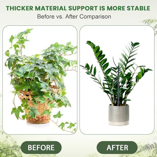 5 Pack Monstera Plants Support Stackable Plant Support Stakes Pothos Climber Supports Vine Plant Sticks Stakes with Plants Clips Ties for Indoor Outdoor Vine Orchid Perfect Moss Pole Replacement