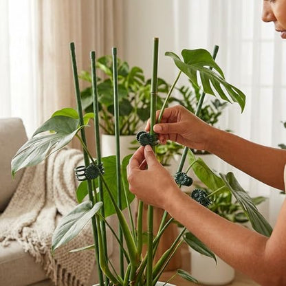 100 Pcs Plant Clips for Climbing Plants, GPlastic Plant Support Clips for Greenhouse and Balcony Gardening