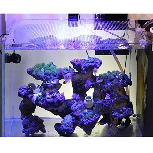 2pcs for Tank Screen Net Holders Anti Jumping Net Clamp Acrylic Fixed Clip Aquarium Accessories Holder Clips Aquarium Screen Net Cover Kit Fish Tank Anti Jump Net Cover