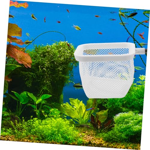 BESPORTBLE Fish Tank Isolation Box with Cups Versatile Aquarium Breeder Net for Juvenile Fish Mesh Design Observation Fits Various Tank