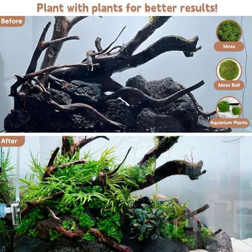 Natural Large Driftwood for Aquarium Fish Tank Decorations, Driftwood for Reptile Tank Bearded Dragon Tank Accessories Terrarium Decor (7.5 to 14.5 inches / 2 Pack)