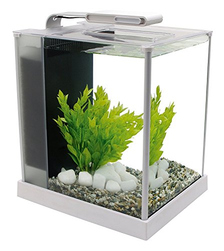 Fluval SPEC III Aquarium Kit, Aquarium with LED Lighting and 3-Stage Filtration System, 2.6 Gallon, White, 10517A1