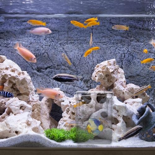 Fish Breeding Tanks Fish Tank Box 2Pcs Breeding Box Plastic Boxes Aquarium Acclimation Hatchery Incubator for Shrimp Clown Guppy