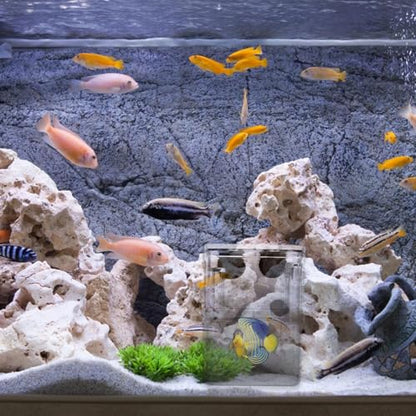 Fish Breeding Tanks Fish Tank Box 2Pcs Breeding Box Plastic Boxes Aquarium Acclimation Hatchery Incubator for Shrimp Clown Guppy