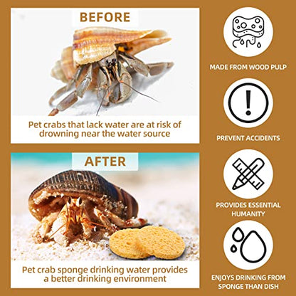12 Pieces Hermit Crab Sea Sponges - Unbleached Supplies for Maintaining Tank Humidity - Pet Accessories Providing Nutrients
