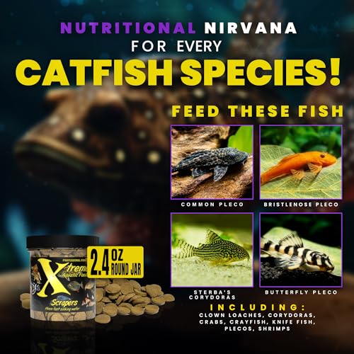 Xtreme Scrapers Wafers - Premium 14mm Fast-Sinking Fish Food – Nutrient & Cellulose Rich Ideal for Nocturnal Feeders, Catfish, Plecostomus Species, and Loaches – USA Farm Grown (2oz) - size: 2.4 Ounce (Pack of 1)