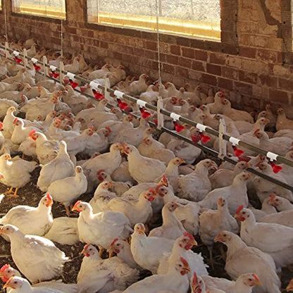 20 Pack Chicken Waterer PVC Tee Fittings - Fully Automatic for Threaded Chicken Waterer Nipples/Cups/Feeders/Poultry Water Drinker, White