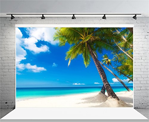 12x8ft Sea Beach Photography Background Seaside Palmtree Backdrop Vacation Trip Blue Sky Holiday Kid Baby Lovers Boy Girl Adult Artistic Portrait Photoshoot Studio Props Video Drape Wallpaper - size: 12x8ft