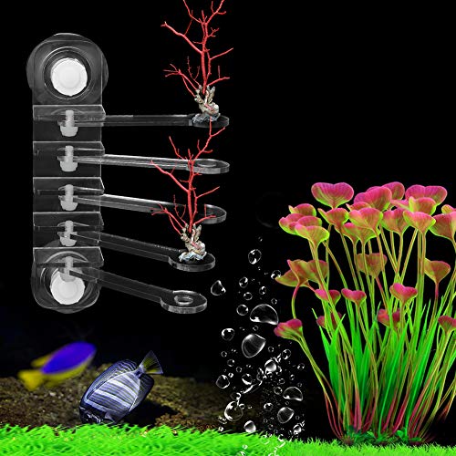 Acrylic Transparent Five Claw Life Tree Frag Rack Base, SPS Holder with 5 - Hole Design, 180 - Degree Adjustable Arms and Strong Suction Cup for Reef Aquarium