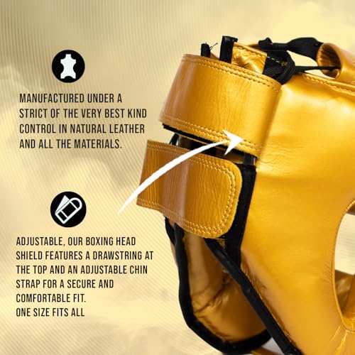 CLETO REYES Boxing Headgear with Face Bar for Men and Women, Protective Head Guard Face Saver, Sparring Fighting Sports - color: Silver Snake
