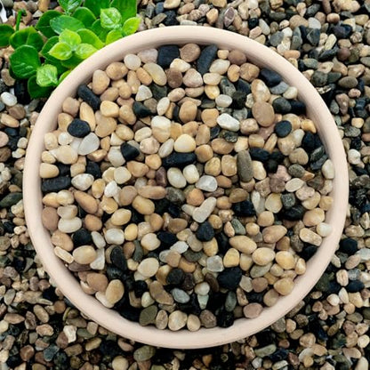 12 lb Aquarium Gravel, 1/4" Ph-Natural Pea Gravel for Fish Tank,Small River Rocks for Plants, Decorative Aquarium Pebbles for Vase Fillers, Landscaping, Succulent, Cactus, Terrarium, Bird Bath - size: 12 lb