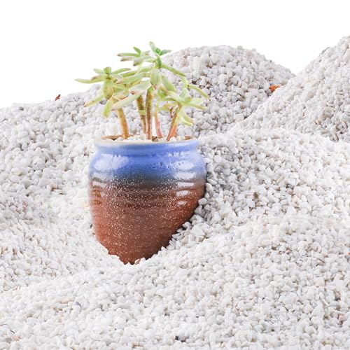 45lb White Cactus Pea Gravel Rocks,1/4 Inch Pebbles for Indoor Plants, Natural Succulent Rock and River Rocks Decorative for Aquariums, Vases, Outdoor Gardening, Top Dressing for Potted Plants - color: White Onyx, size: 45LB