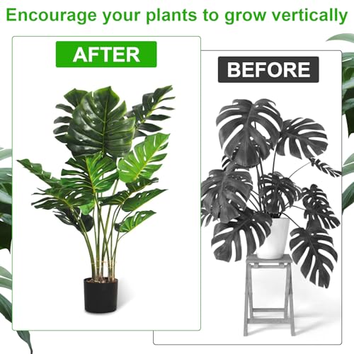 COMNICO Plant Stem Support, 6 Pcs Monstera Durable Metal Plant Holder Stakes Reusable Stem Stabilizer Turtle Shell Bamboo Clamp Set for Outdoor Indoor Plants