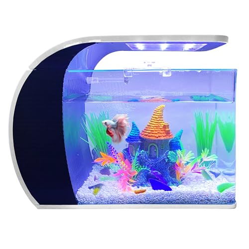 5 Gallon Fish Tank - Arc-Shaped Glass Tank w/LED Lights - Fish Tank Kit w/Filter, Water Pump, Bag of Filter Media & More - Beautiful Aquarium Set for Office & Home - Easy Assembly Starter Kit