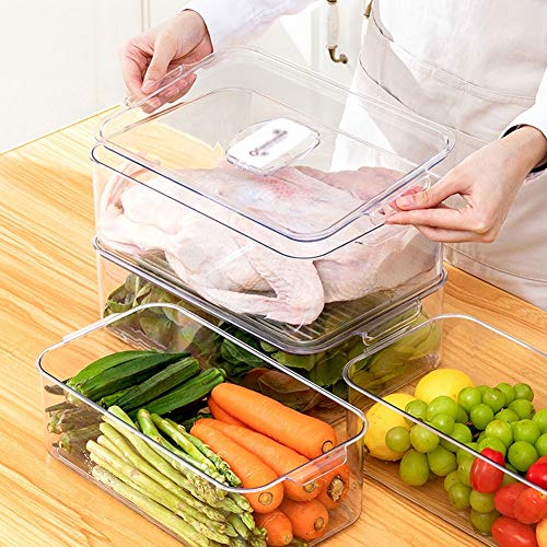 Fresh Box Food Storage Container with Lids Stackable Portable Freezer Containers for Fish Meat Vegetables Fruits Storage Bins Airtight (Model : A) (B)