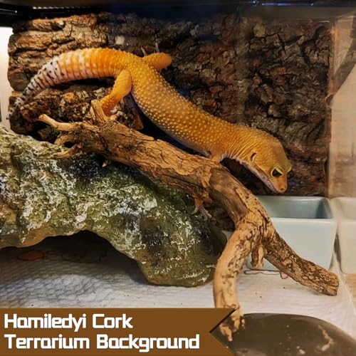 Cork Terrarium Background 11.8x7.9in 4PCS Natural Reptile Cork Bark Flats Terrarium Board Bearded Dragon Climbing Wall Mat Tank Decor for Lizard Chamelon Snake Turtle Spider Crested Gecko - size: 4PCS-11.8x7.9in